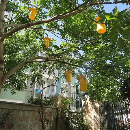 מלון Ada Buyukada 4*