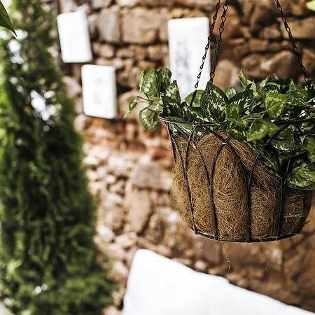 Ada Buyukada אדאלר